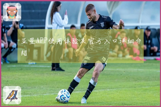亚星APP使用体验及官方入口详细介绍