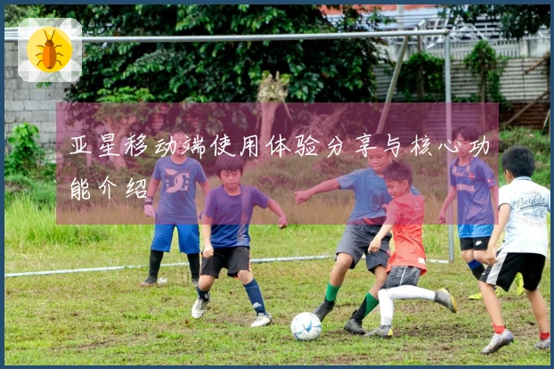 亚星移动端使用体验分享与核心功能介绍