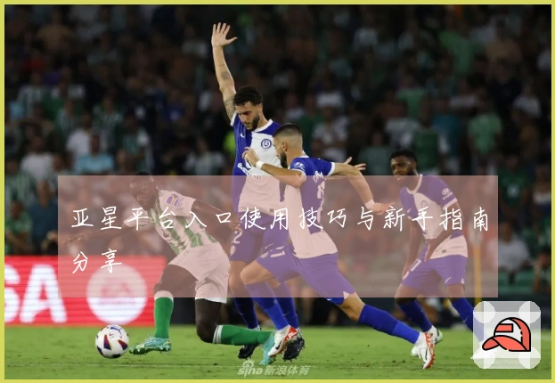 亚星平台入口使用技巧与新手指南分享