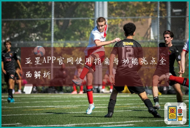 亚星APP官网使用指南与功能亮点全面解析